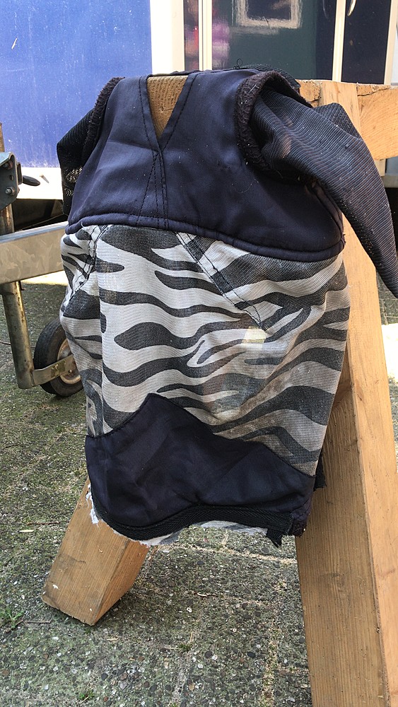 Fliegenmaske mit Zebramuster für 2 € in Fliegenmaske & Fransen